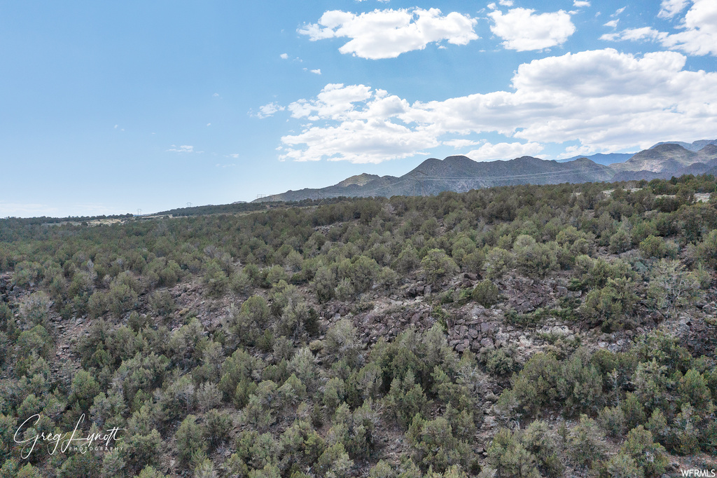 266  JUNIPER WAY New Harmony, UT 84757