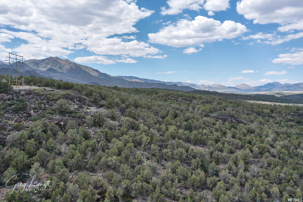 266  JUNIPER WAY New Harmony, UT 84757