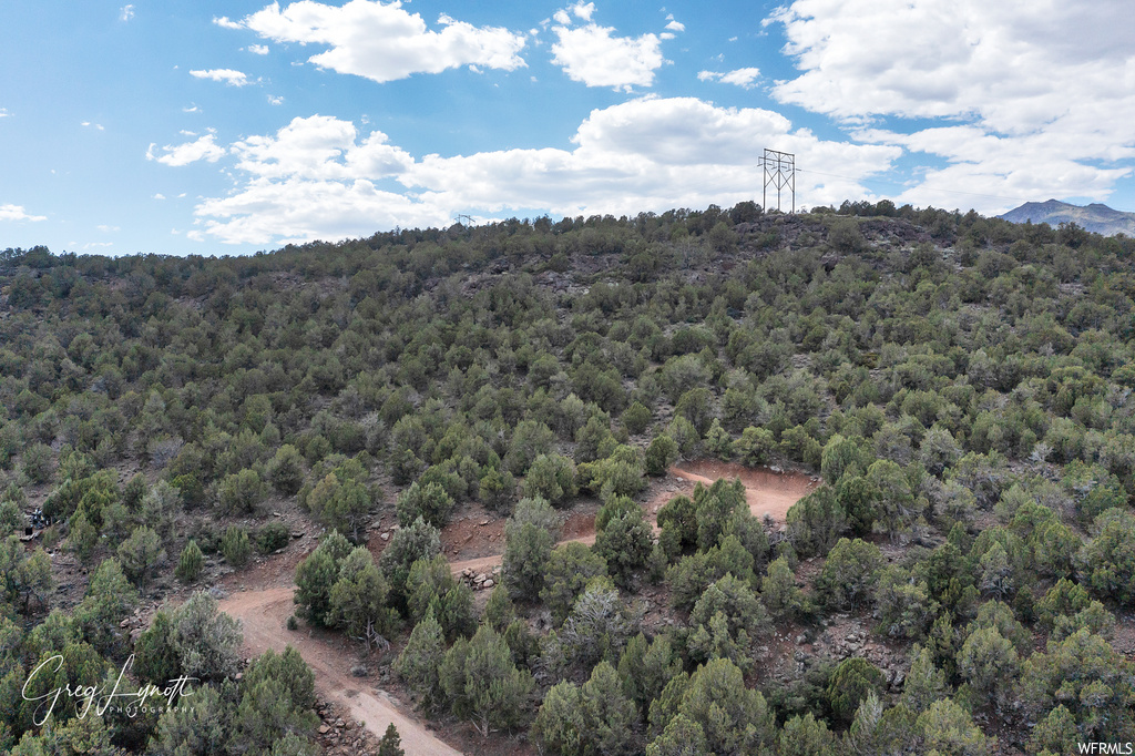 266  JUNIPER WAY New Harmony, UT 84757
