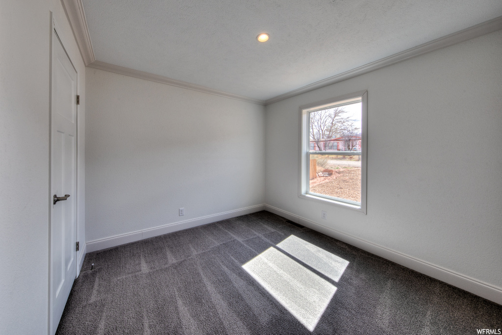 carpeted spare room featuring natural light