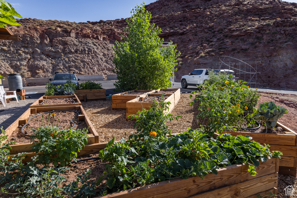 View of yard featuring a vegetable garden and a mountain view
