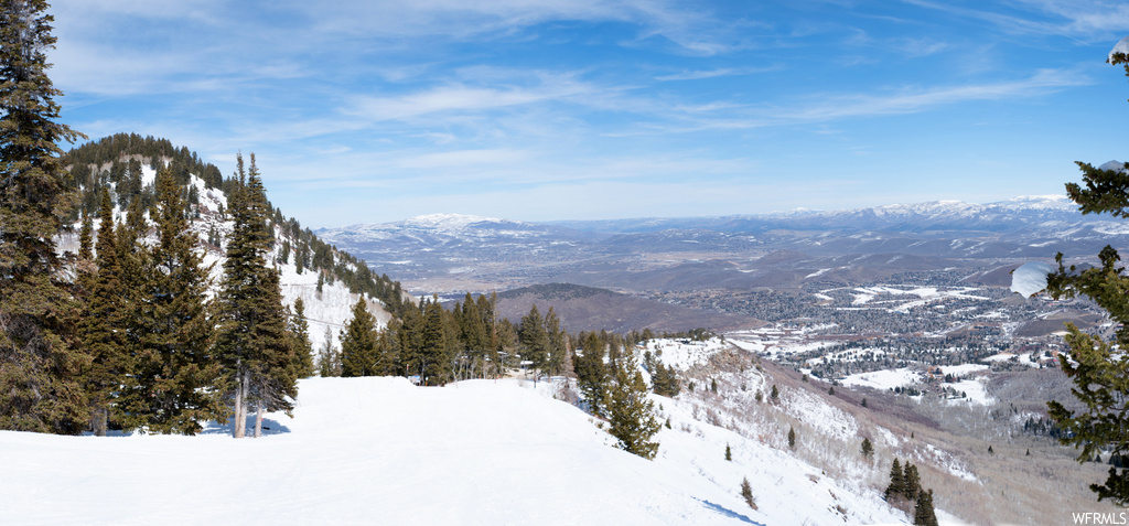 view of mountain feature
