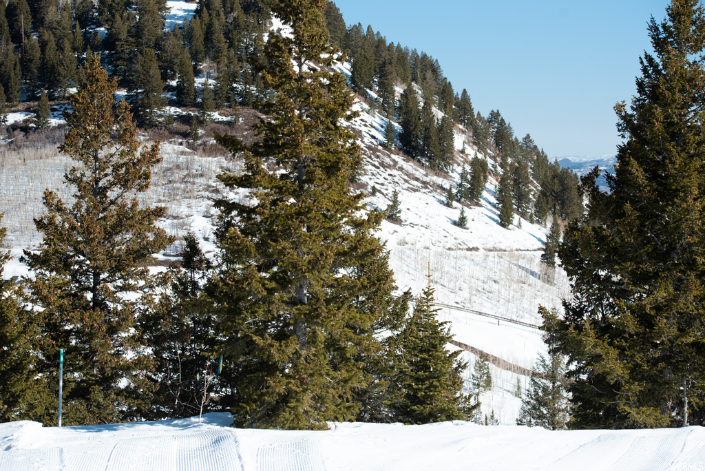 view of mountain view