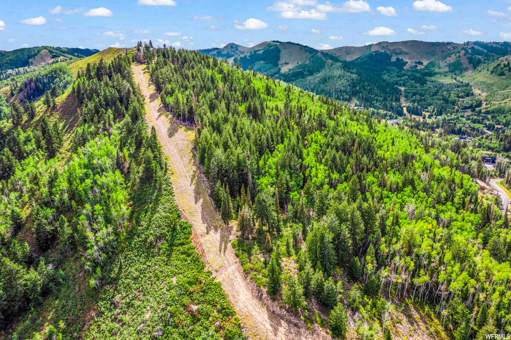 view of mountain feature