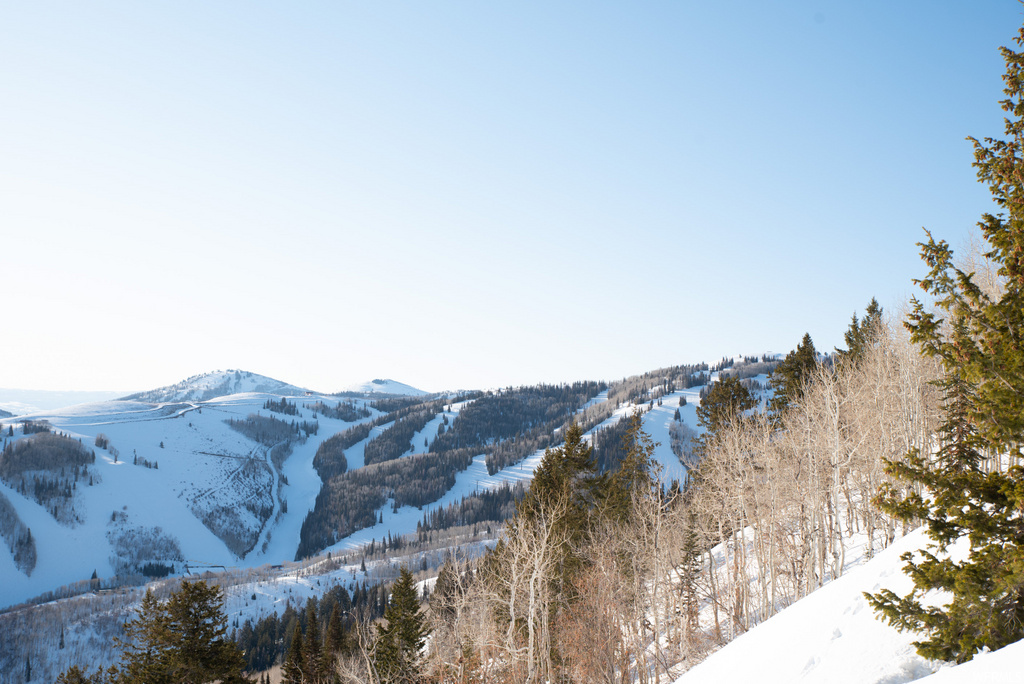 view of mountain feature