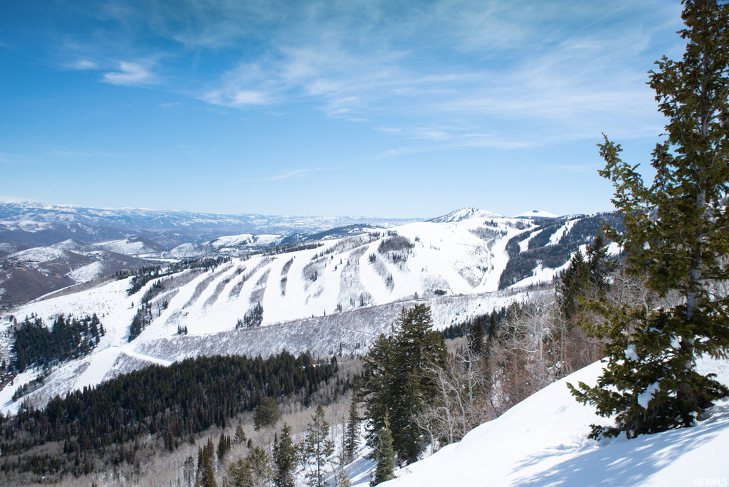 view of mountain view