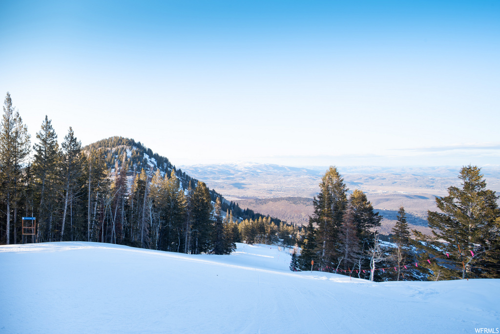 view of mountain feature