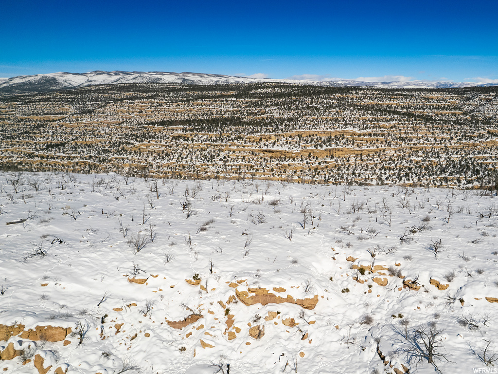 view of mountain feature