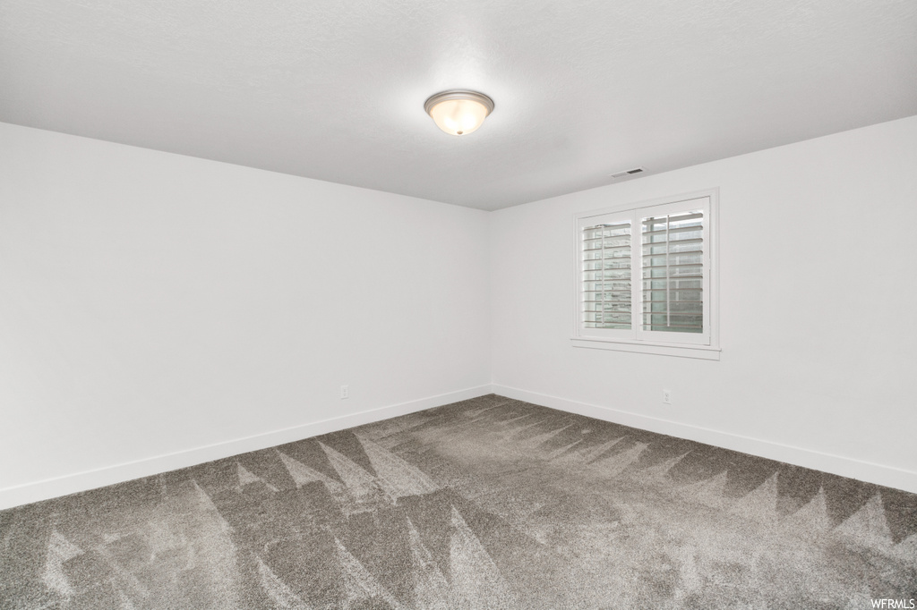 empty room featuring carpet and natural light