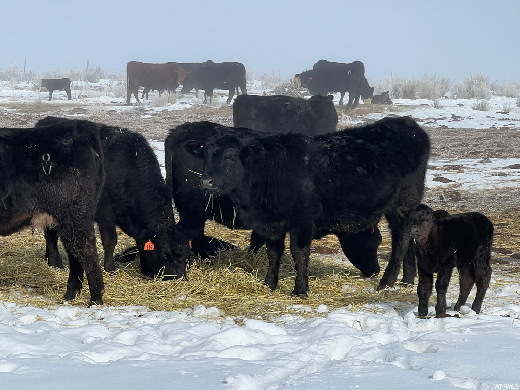 14325 N 1000 Wales UT 84667 189,000