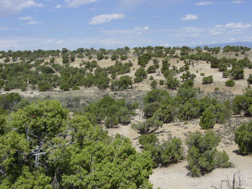 view of bird's eye view