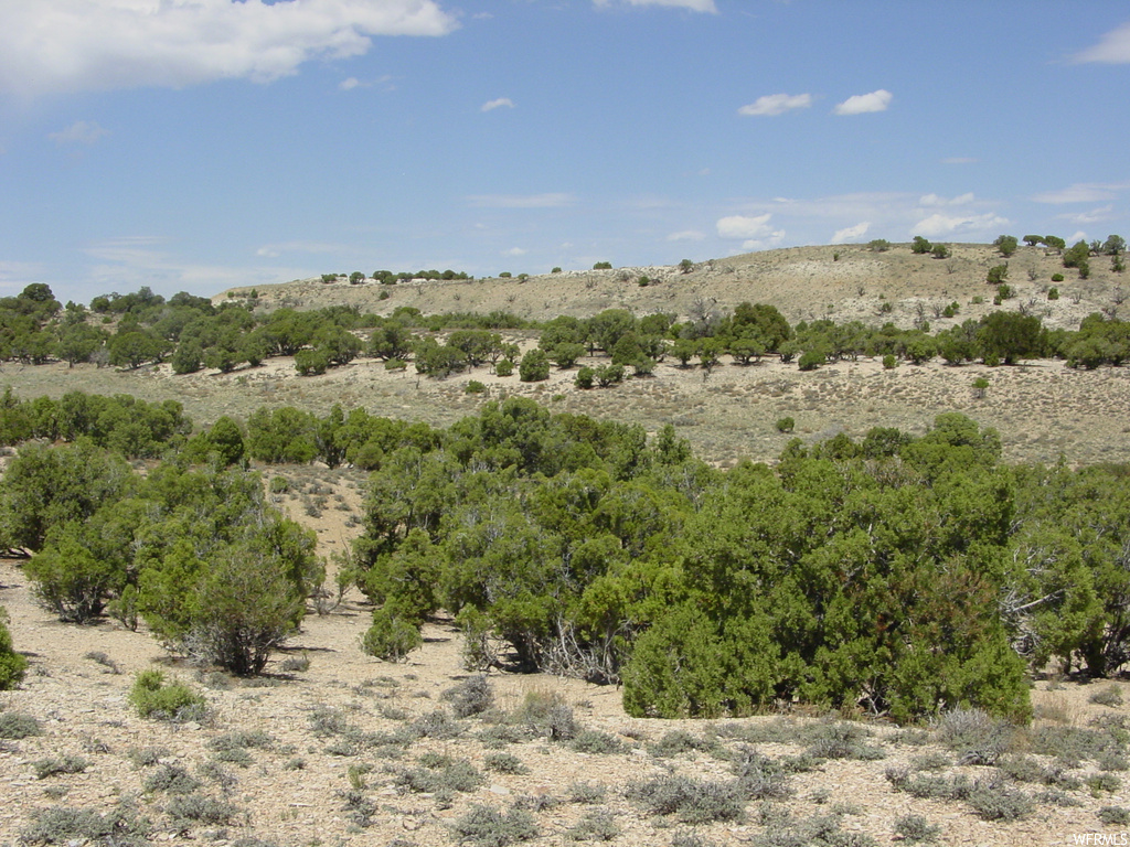 view of mountain feature