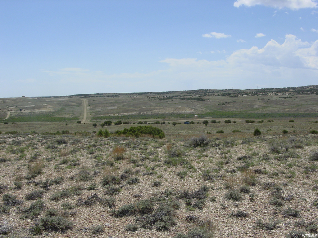 view of local wilderness