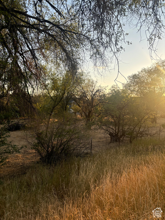 View of nature at dusk