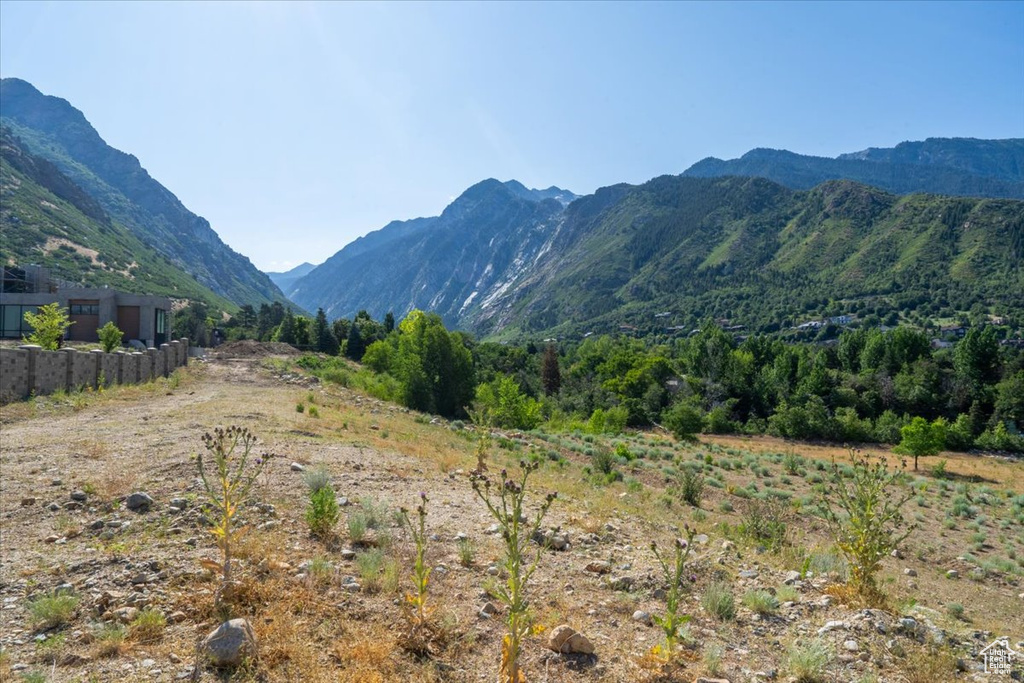 Mountain view