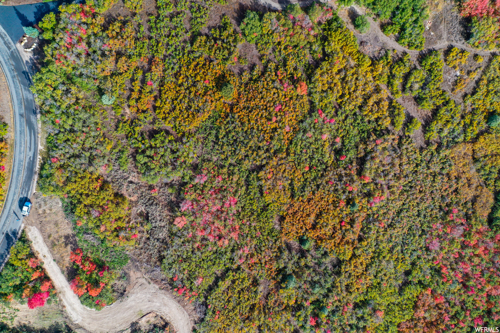 View of drone / aerial view