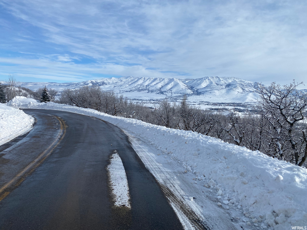 view of road with a mountain view