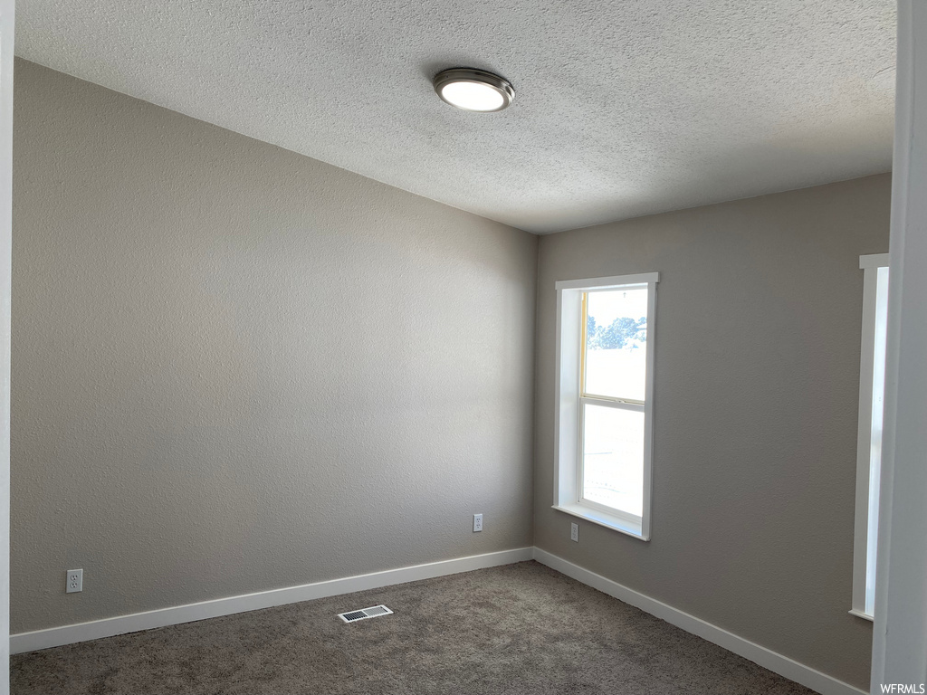 spare room with a wealth of natural light and carpet