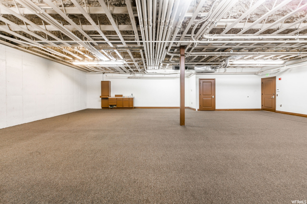 basement with carpet
