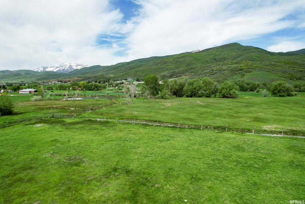 Photo #12
