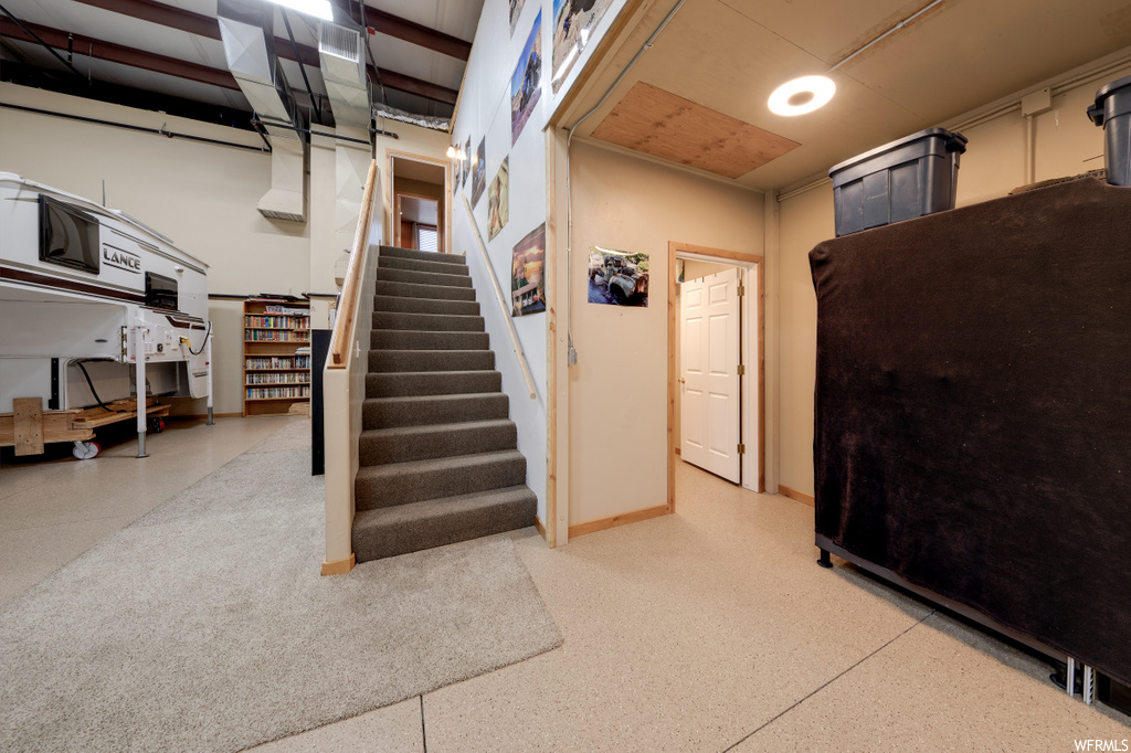 basement featuring carpet