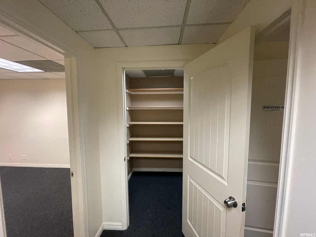 closet featuring carpet