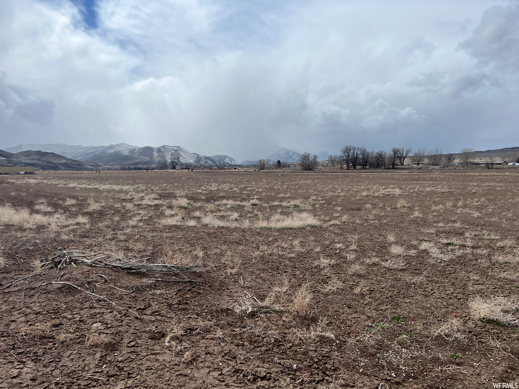 view of local wilderness with a mountain view