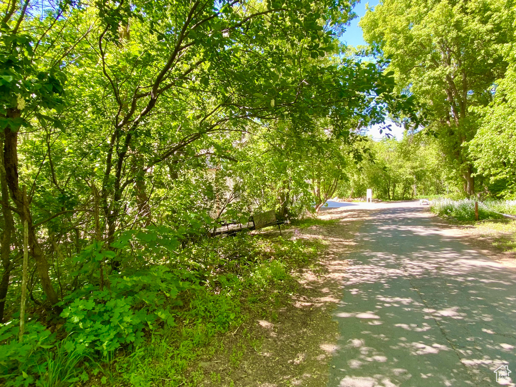 View of road