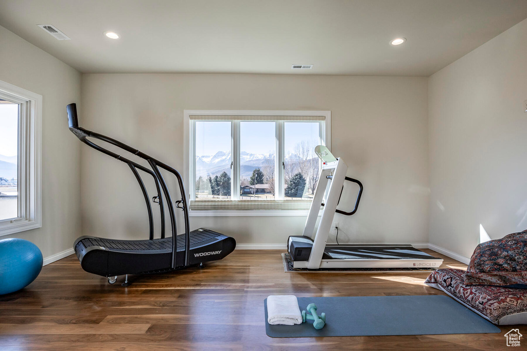 Workout room featuring a mountain view and dark hardwood / wood-style floors