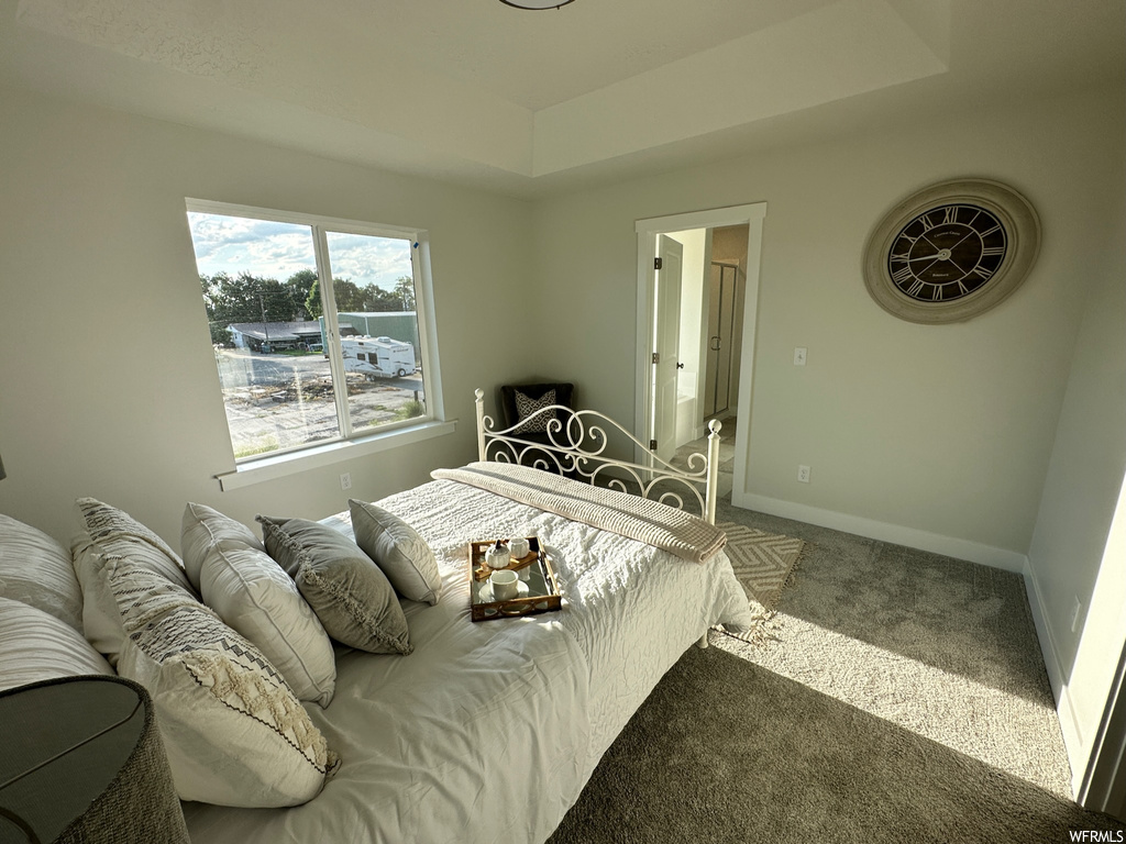 Bedroom featuring a tray ceiling and carpet