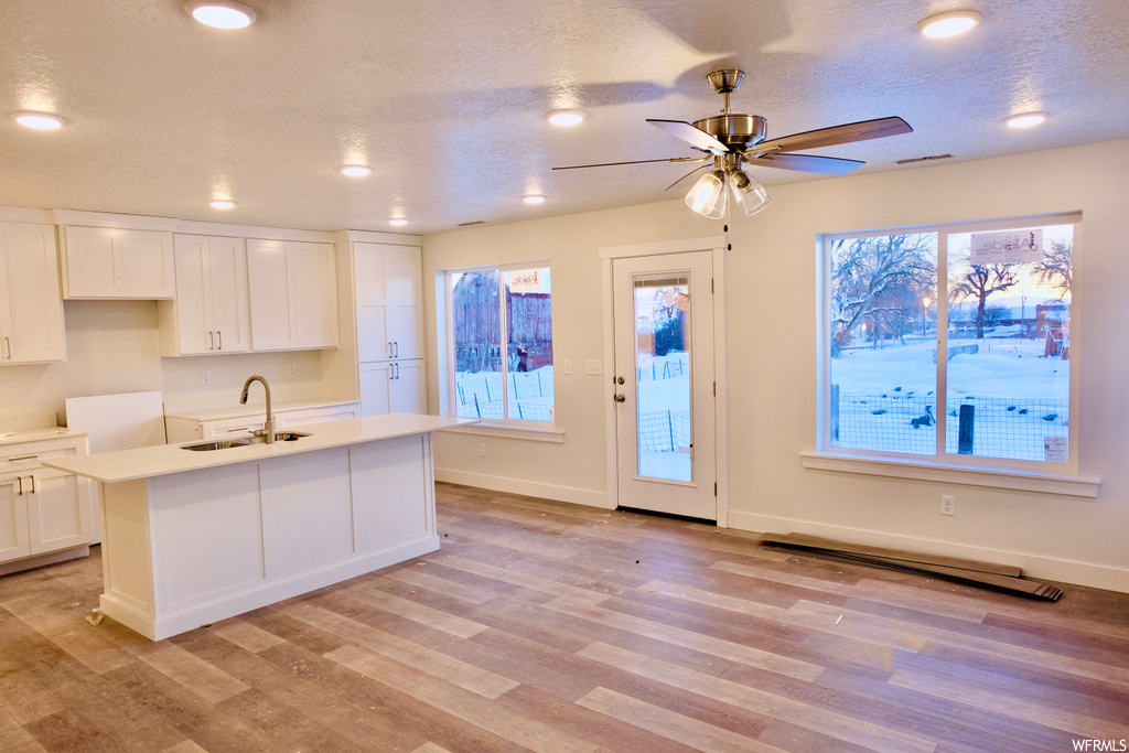 kitchen featuring a wealth of natural light, a ceiling fan, light countertops, and light hardwood flooring