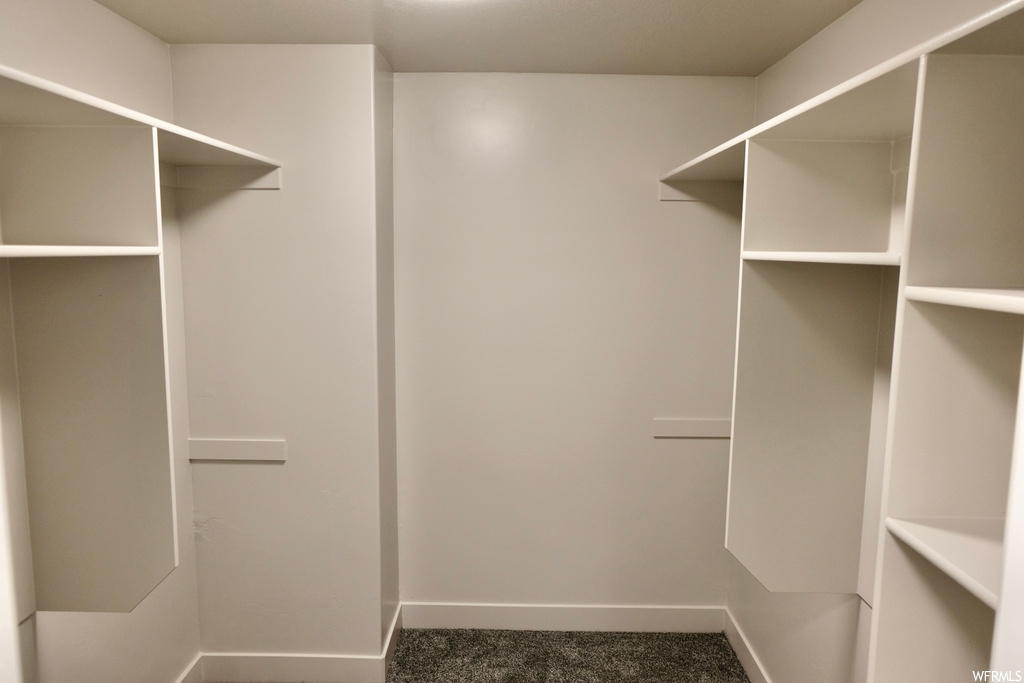 walk in closet with carpet