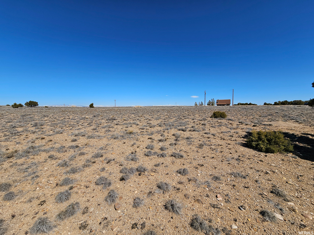 view of local wilderness