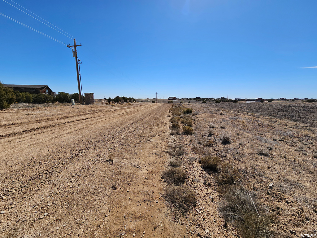 view of local wilderness