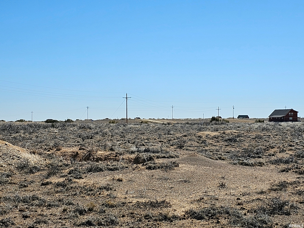 view of local wilderness