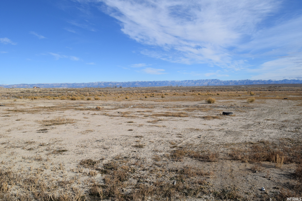 view of local wilderness