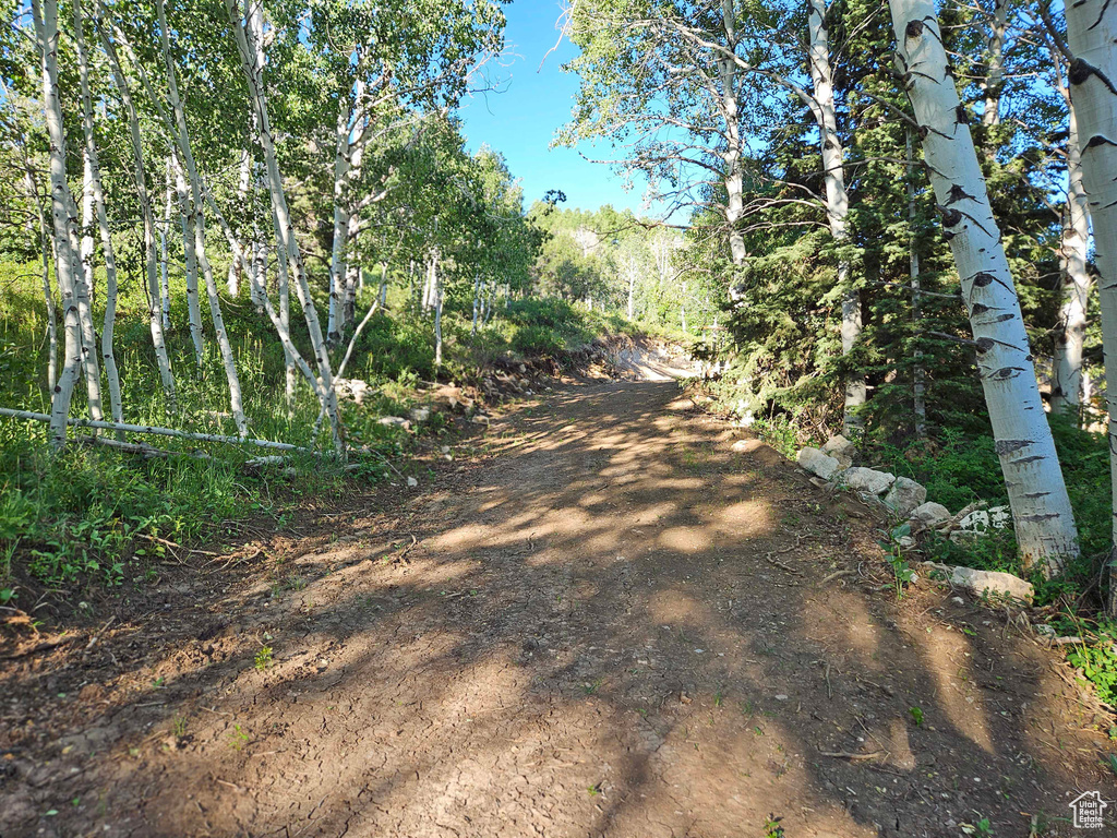 View of road