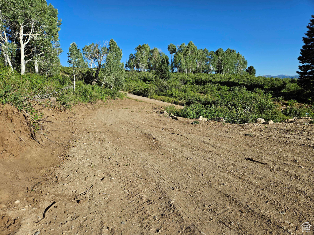 View of undeveloped land