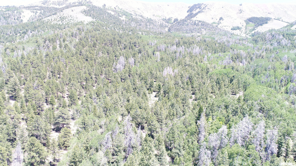 Your Dream Utah Property 27,000 Hanksville UT 84734 Property