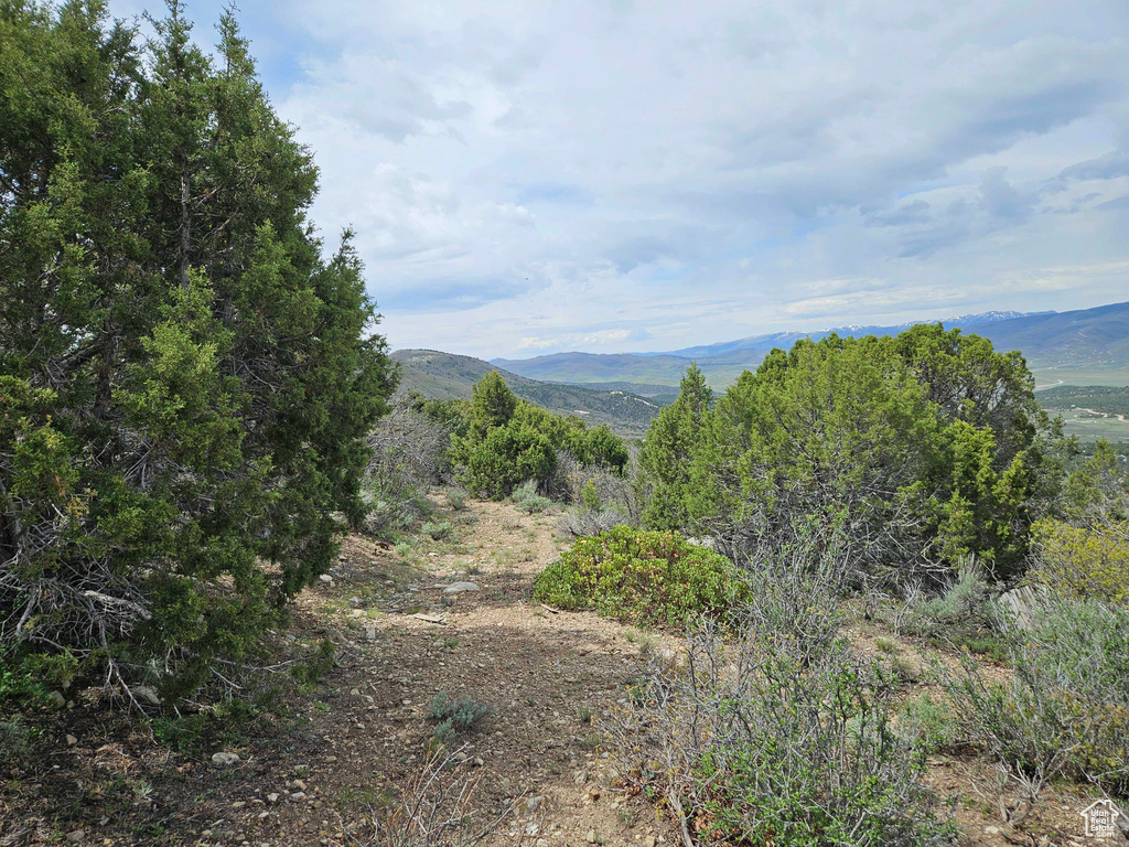 View of mountain backdrop