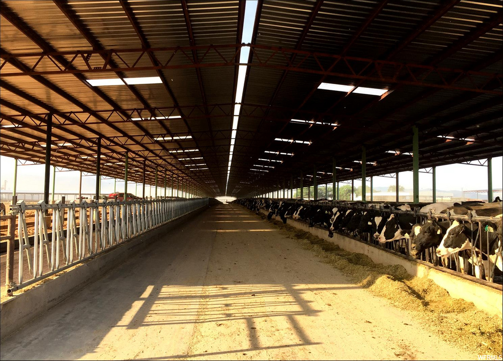 view of horse barn