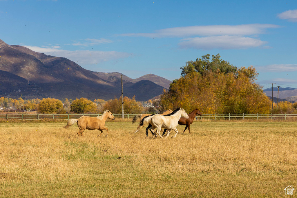 View of mountain background featuring rural landscape and a pastoral area