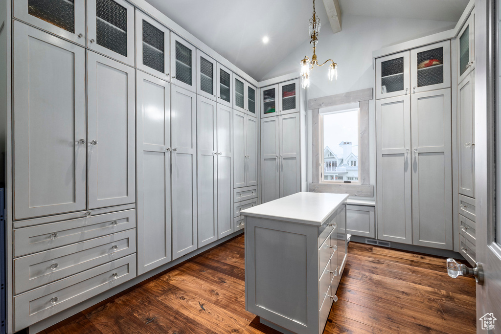 Walk in closet with dark wood-type flooring
