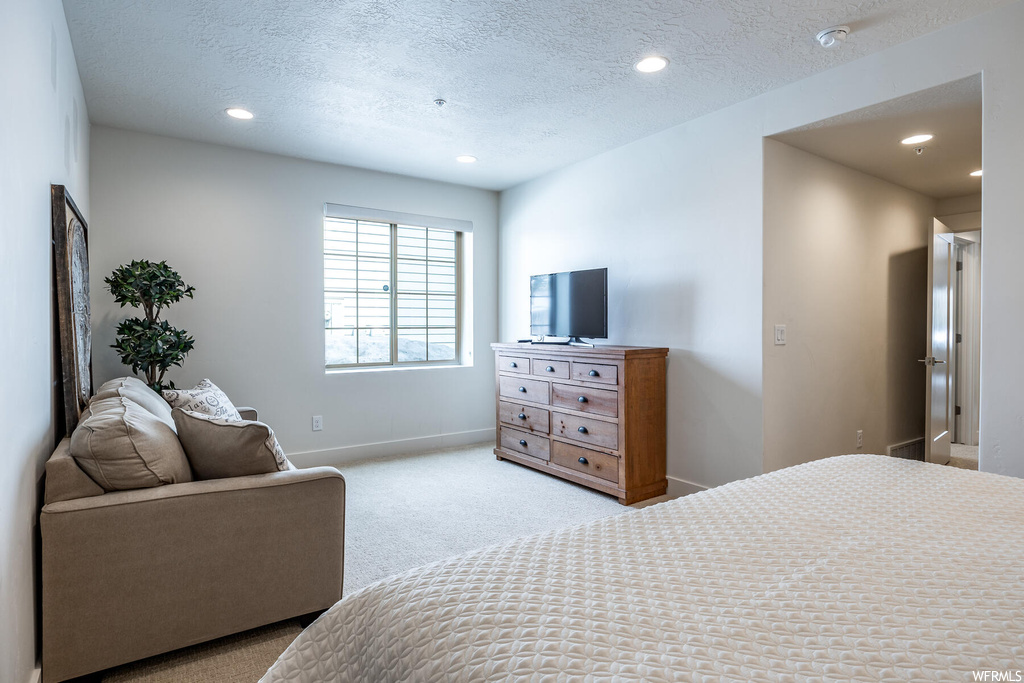 Bedroom featuring natural light, carpet, and TV