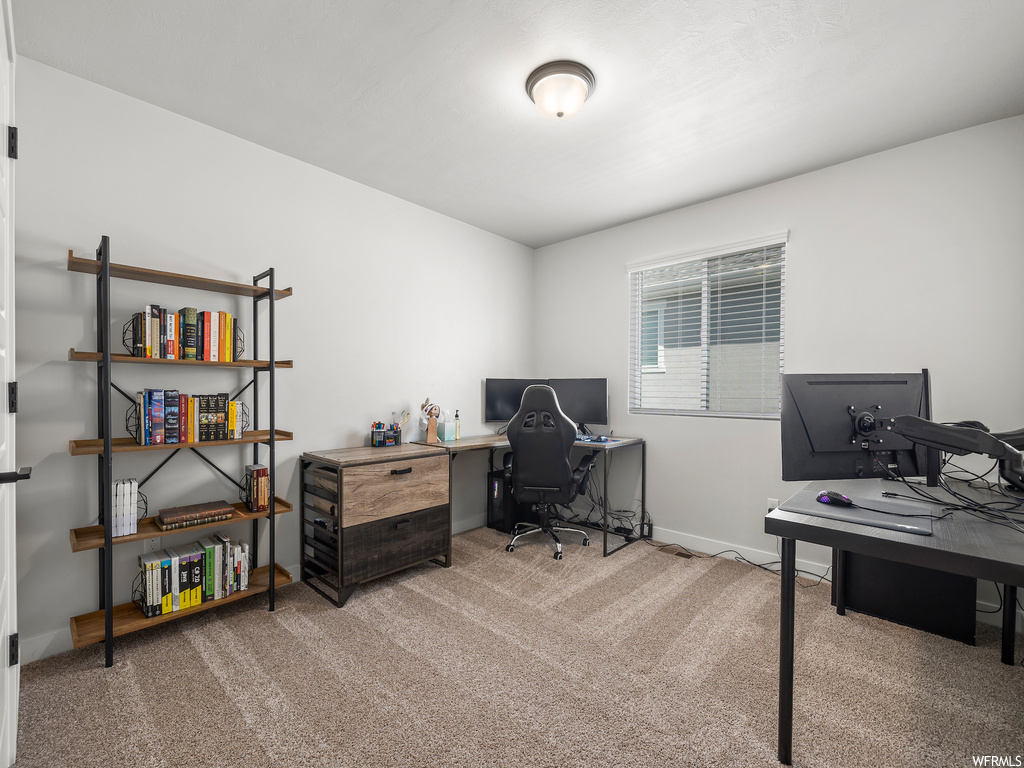 office area featuring carpet