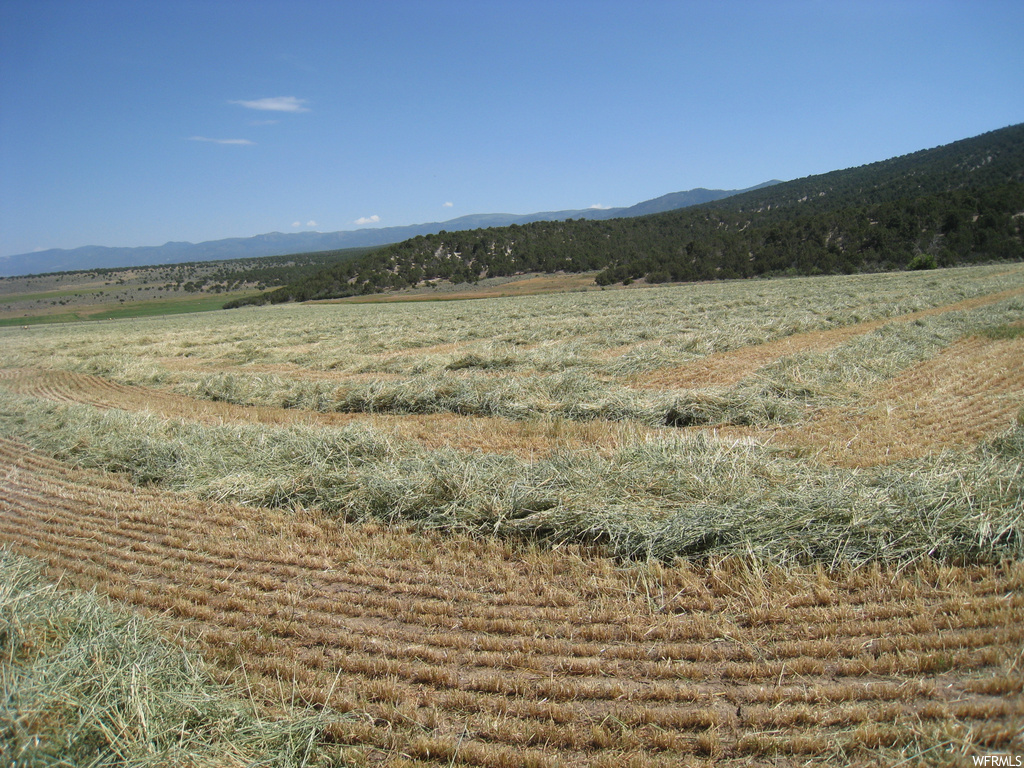 view of mountain feature