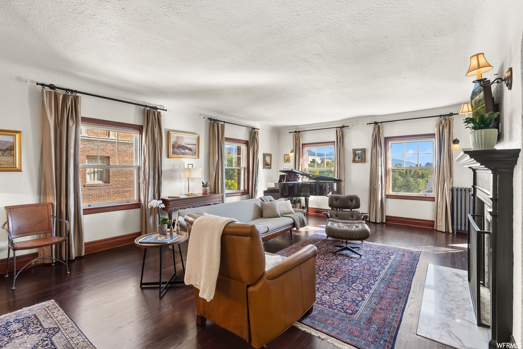 Living room featuring a textured ceiling and dark hardwood flooring