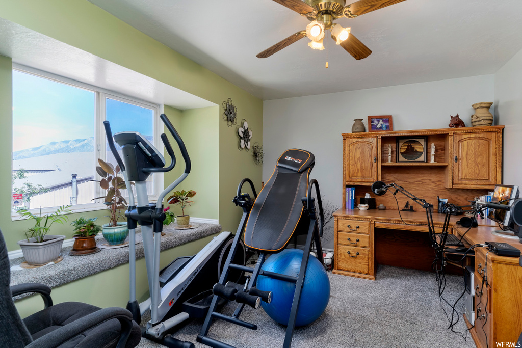 exercise area featuring carpet, natural light, and a ceiling fan