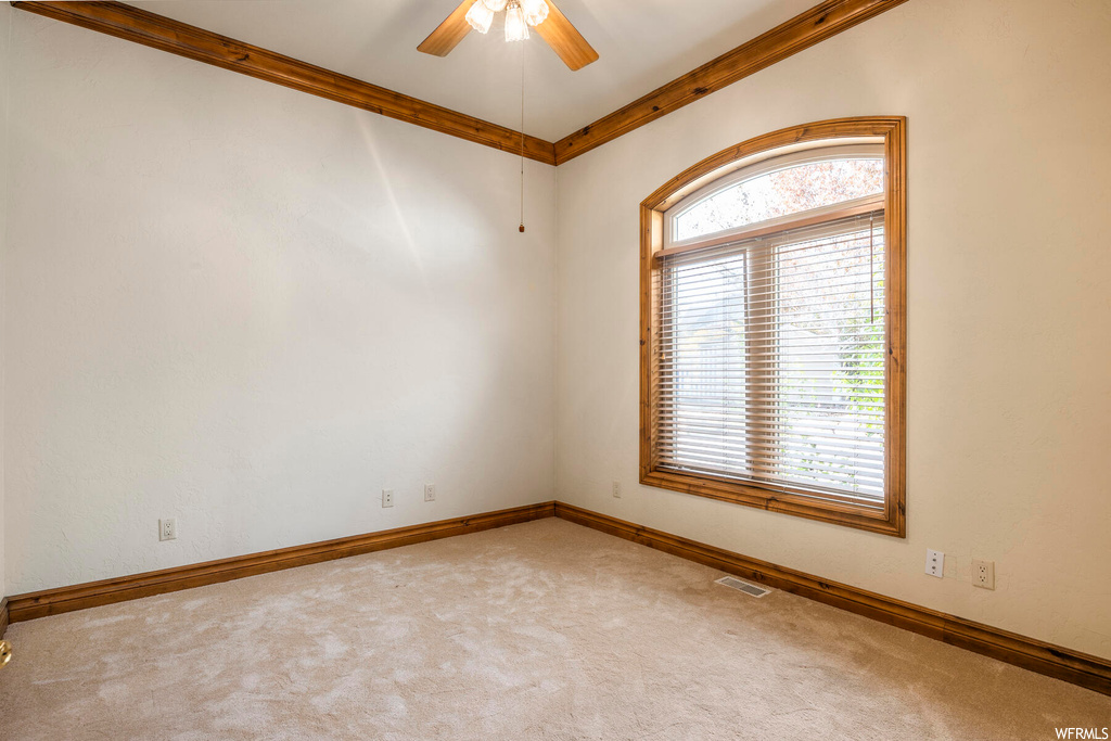 Unfurnished room featuring ceiling fan, carpet flooring, and crown molding
