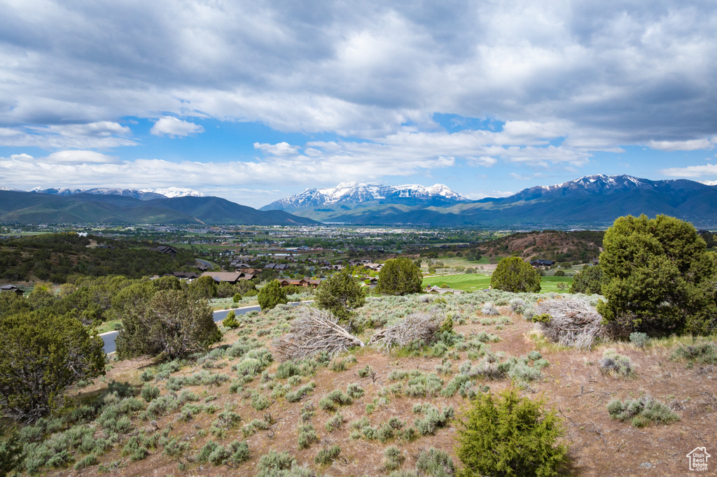 Mountain view